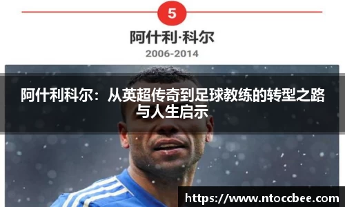 mk体育官网入口