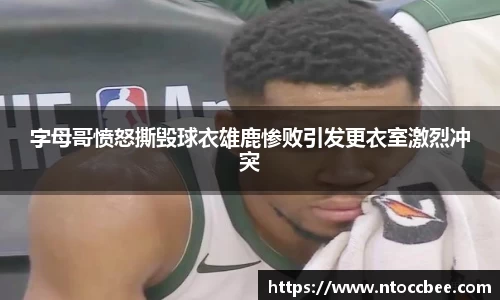 mk体育官网版