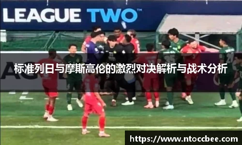 mk体育官网入口