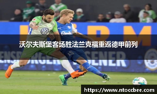 mk体育官网入口